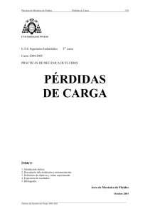 Prácticas de Mecánica de Fluidos: Pérdidas de Carga
