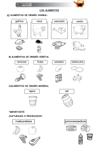 Alimentos y Digestión: Hoja de Trabajo para Niños
