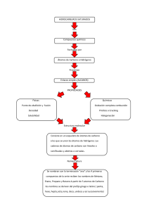 Hidrocarburos Saturados: Propiedades y Nomenclatura