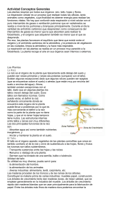 Botánica: Respiración, Raíz, Tallo, Fotosíntesis