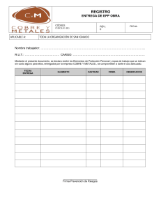 Registro Entrega EPP Obra - Formulario de Seguridad Laboral