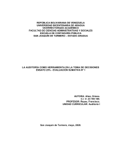Auditoría y Toma de Decisiones: Ensayo Universitario