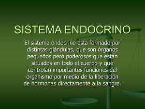 Sistema Endocrino: Glándulas, Hormonas y Funciones