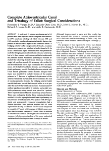 CAVC and  Tetralogy of Fallot: Surgical Considerations.  F.J.Vargas et al.