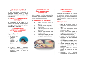 Chikungunya: Síntomas, Transmisión y Prevención