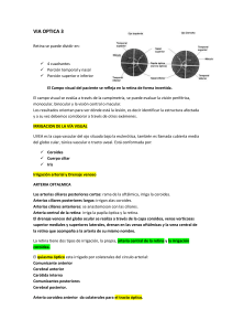 Vía Óptica: Anatomía, Irrigación y Lesiones