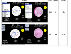 Vistas del microscopio (1) (1)-convertido (2)