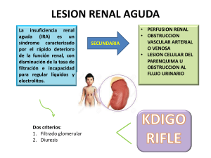 LESION RENAL AGUDA 2.1