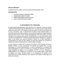 Plan de Negocios: Ladrillos Ecológicos con PET Reciclado