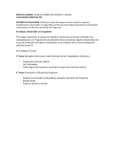 Tarea Laboral: Ley Protección al Empleo y Teletrabajo