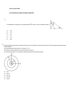 PSU Matemática: Microfacsímil de Geometría