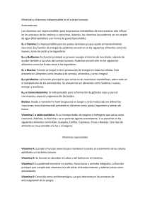 Vitaminas y Minerales Indispensables: Guía Completa