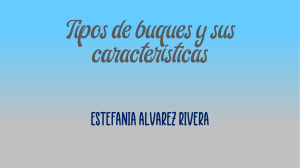 Tipos de buques y sus características