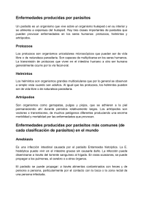 Enfermedades Parasitarias: Tipos, Síntomas y Tratamientos