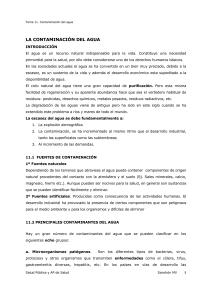 Contaminación del Agua: Causas, Efectos y Soluciones