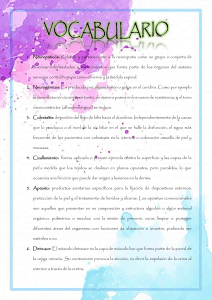 Glosario de Términos Médicos: Neuropatía, Colestasis y Más