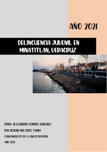 Delincuencia Juvenil en Minatitlan, Veracruz: Investigación