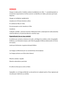 Hongos: Identificación, Diagnóstico y Micosis