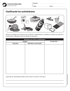 Clasificando Carbohidratos: Hoja de Trabajo de Ciencias Naturales