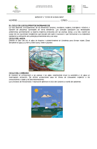 Ciclos de la Naturaleza: Guía para 7º Básico