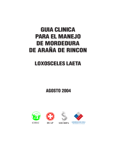 Guía Clínica: Mordedura de Araña de Rincón (Loxosceles Laeta)
