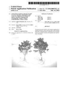 Increase Crop Yield: Thermodynamic Plant Energy Management