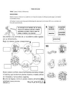Cadena Trófica: Hoja de Trabajo para Estudiantes