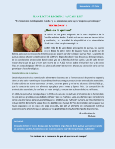 ¿Qué es la quinua? Beneficios y propiedades nutricionales