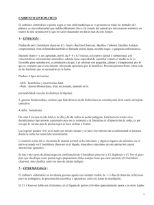 Carbunco Sintomático: Etiología, Epidemiología y Patogenia