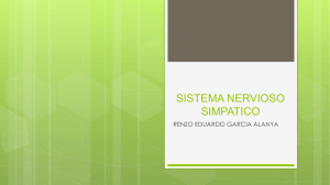 Sistema Nervioso Simpático: Presentación sobre el Sistema Simpático