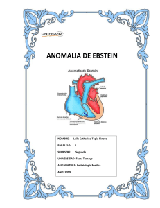 Anomalía de Ebstein: Informe Médico