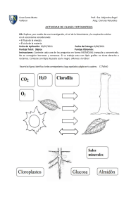 Fotosíntesis: Hoja de Trabajo de Ciencias Naturales