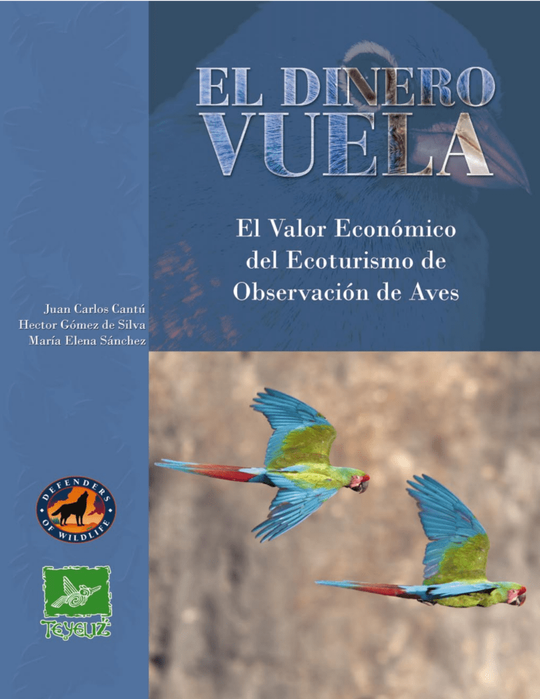 DineroVuela
