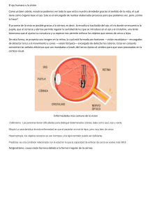 El ojo humano y la visión: Anatomía y enfermedades