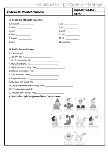 ADJECTIVES 