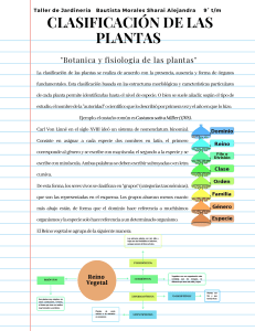 Clasificación de Plantas: Taller de Jardinería