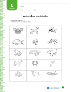 Vertebrados e Invertebrados: Hoja de Trabajo de Ciencias