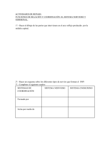 Sistema Nervioso y Hormonal: Ejercicios de Repaso