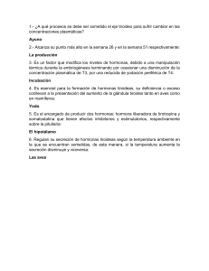 Eje Tiroideo: Preguntas y Respuestas sobre Hormonas y Regulación
