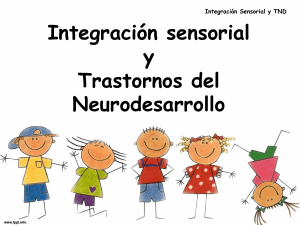 integracion-sensorial-y-trastornos-de-neurodesarrollo 