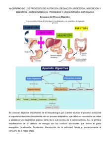 Proceso de Nutrición: Deglución, Digestión, Absorción y Egestión