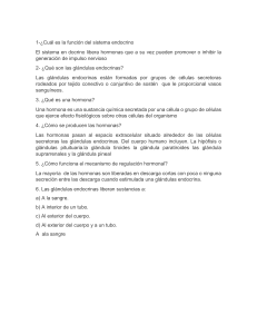 Sistema Endocrino: Preguntas y Respuestas