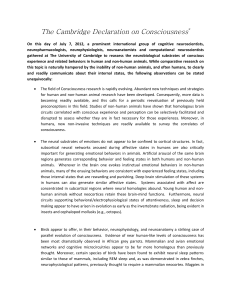 Cambridge Declaration on Consciousness: Animal Awareness