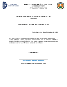 Acta de Constancia: Visita de Obra ITT-CIVIL-R33