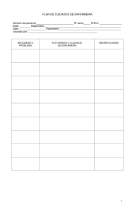 Plan de Cuidados de Enfermería: Formulario de Registro