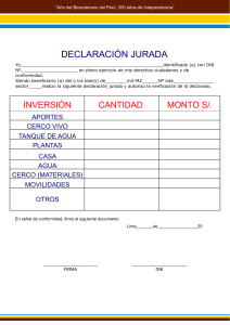DECLARACION JURADA  - AVANCES Y DESARROLLO EN SUS AREAS