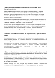 Posición Anatómica y Cavidades del Cuerpo Humano