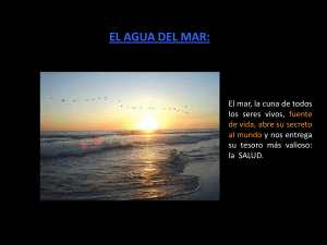 Agua de Mar y Salud: Plasma Marino y Terapia Quinton