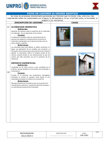 Ficha de Lesiones Abióticas: Alteraciones Cromáticas y Depósitos