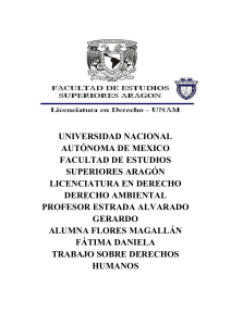 Derechos Humanos: Concepto, Características y Evolución